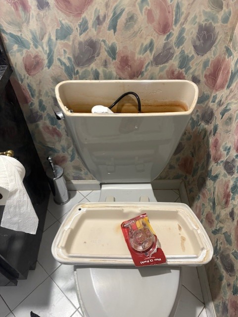 Fixture Repair in Live Oak that reduces the water Bill